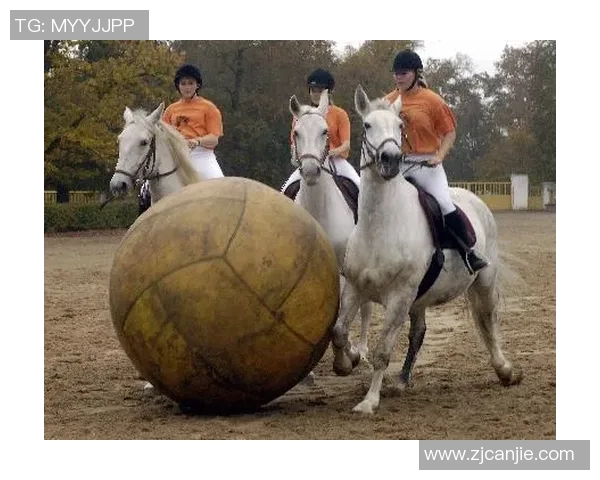 吴娜独家分享羽毛球技巧与心得助你提升竞技水平与乐趣 吴娜独家分享羽毛球技巧与心得助你提升竞技水平与乐趣